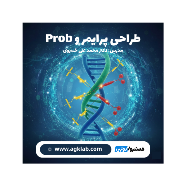 (Primer and Probe Design) طراحی پرایمر و Prob - تصویر 1