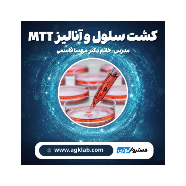 (Cell Culture and MTT Assay Analysis) کشت سلول و آنالیز MTT - تصویر 1